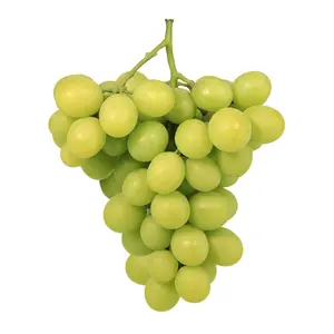 Nho Xanh Không Hạt Úc - AutumnCrisp - Australian Green Seedless Grapes - FRUITICO